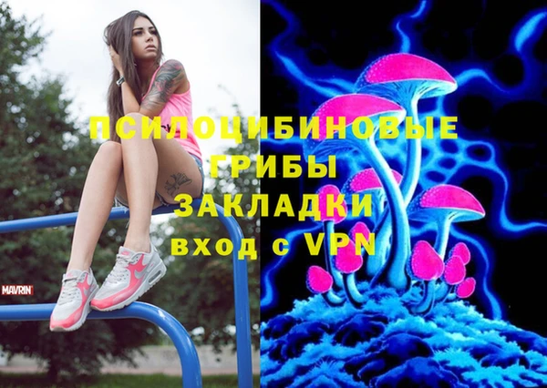 стафф Богородск