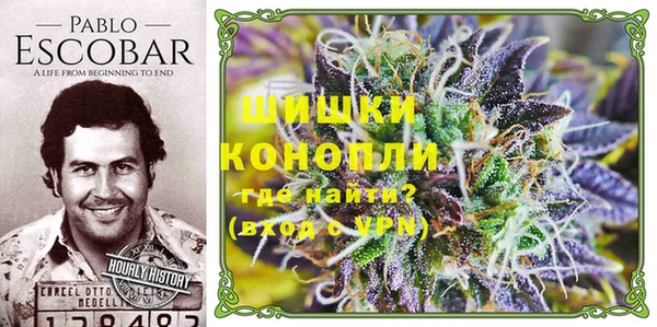 прущие крисы Богданович